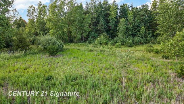 Vacant Swan Creek Road, Hemlock, MI 48626