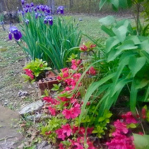 3162 Northcutts Cove Rd, Beersheba Springs, TN 37305