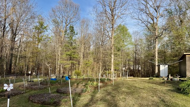 3162 Northcutts Cove Rd, Beersheba Springs, TN 37305