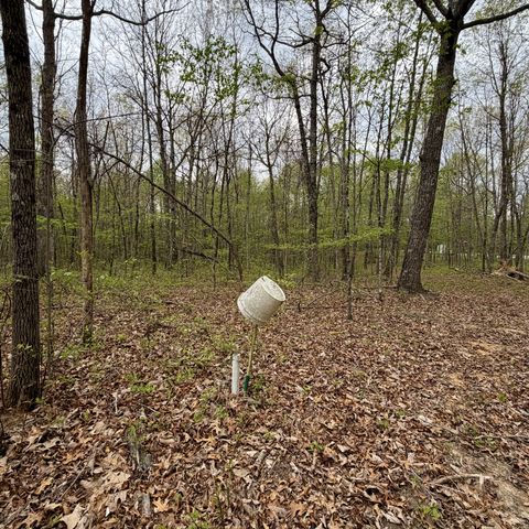 3162 Northcutts Cove Rd, Beersheba Springs, TN 37305
