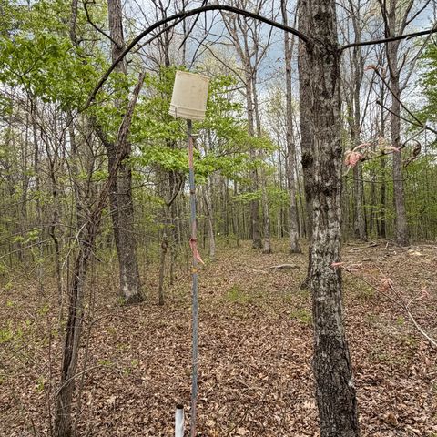3162 Northcutts Cove Rd, Beersheba Springs, TN 37305