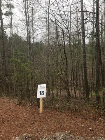 18 Allens Bend Rd, Smithville, TN 37166