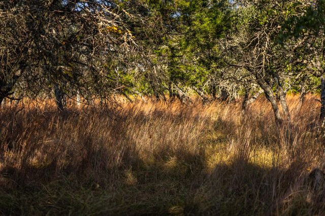 1260 County Road 2001, Lampasas, TX 76550