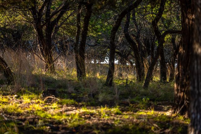 1260 County Road 2001, Lampasas, TX 76550