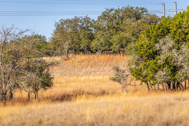 1260 County Road 2001, Lampasas, TX 76550