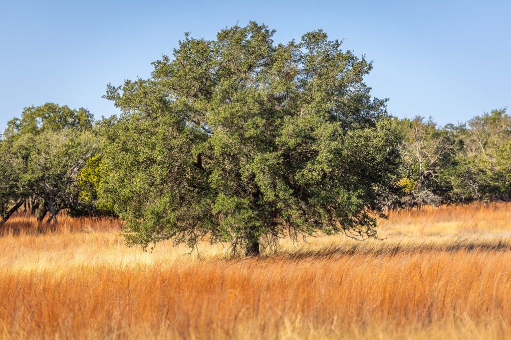 1260 County Road 2001, Lampasas, TX 76550