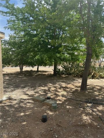 1461 East Elderberry Street, Pahrump, NV 89048