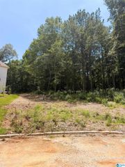248 MOUNTAIN LAKE TRAIL, Alabaster, AL 35007
