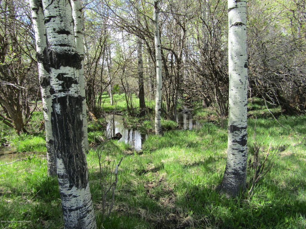 TBD W HIGHWAY 33, Tetonia, ID 83452 photo 28