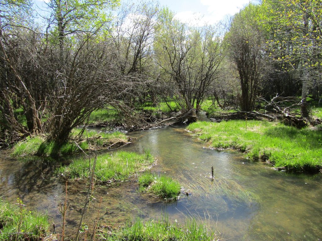 TBD W HIGHWAY 33, Tetonia, ID 83452 photo 29