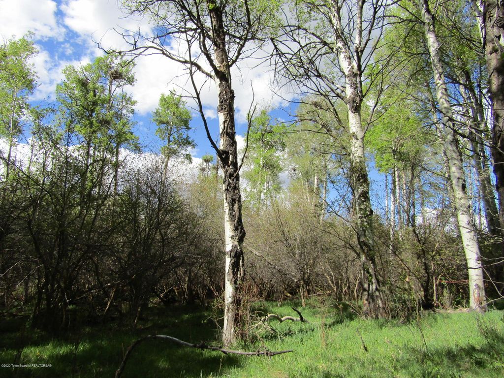 TBD W HIGHWAY 33, Tetonia, ID 83452 photo 31