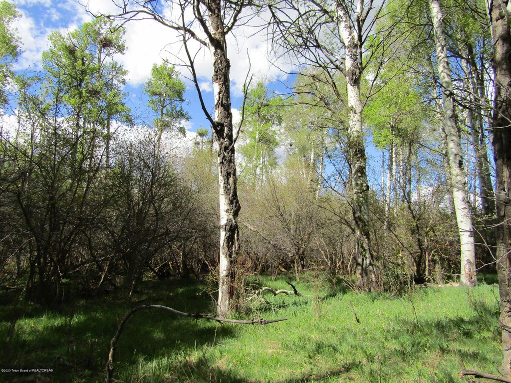 TBD W HIGHWAY 33, Tetonia, ID 83452 photo 32