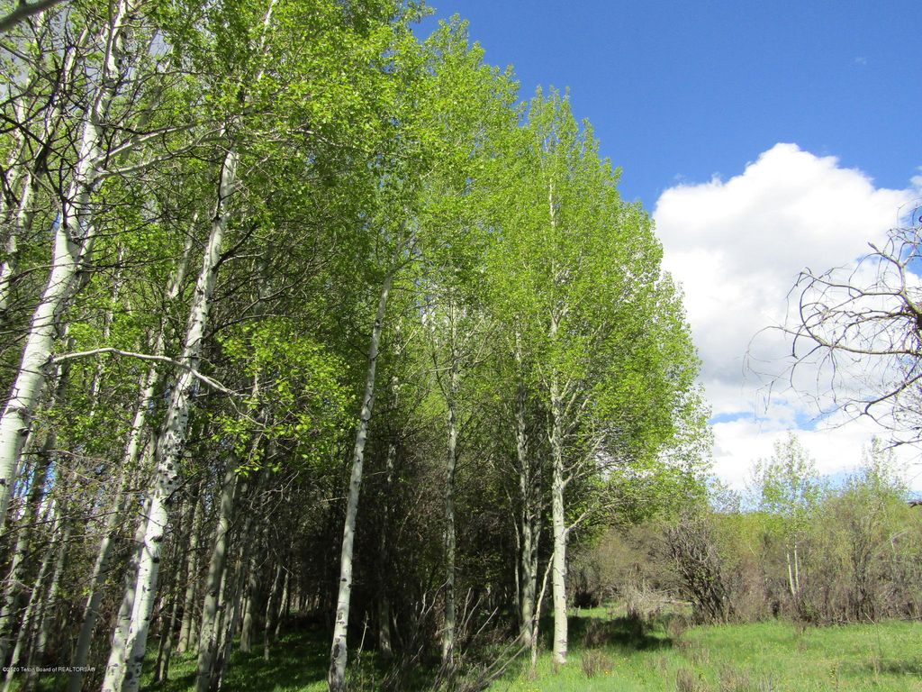 TBD W HIGHWAY 33, Tetonia, ID 83452 photo 33