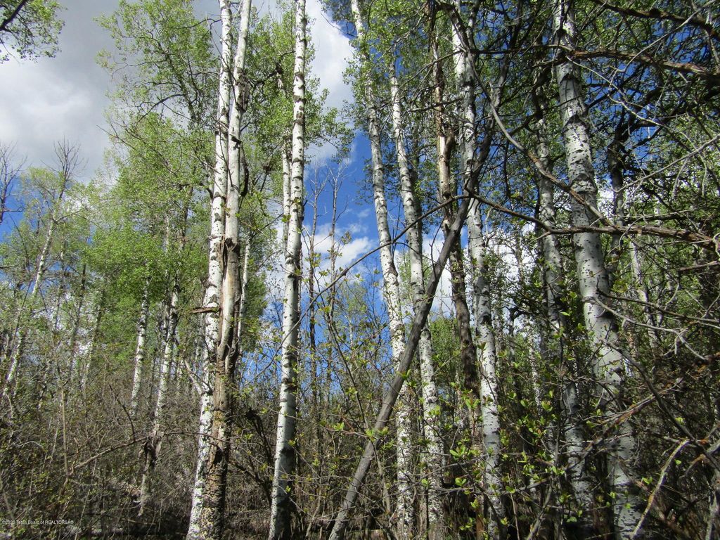 TBD W HIGHWAY 33, Tetonia, ID 83452 photo 5