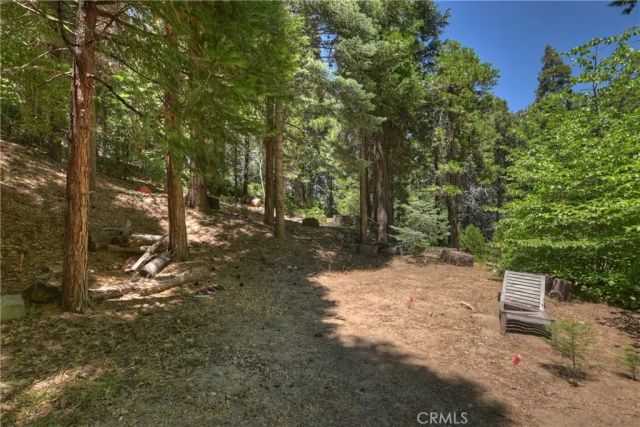 714 Blue Jay Canyon Road, Lake Arrowhead, CA 92317