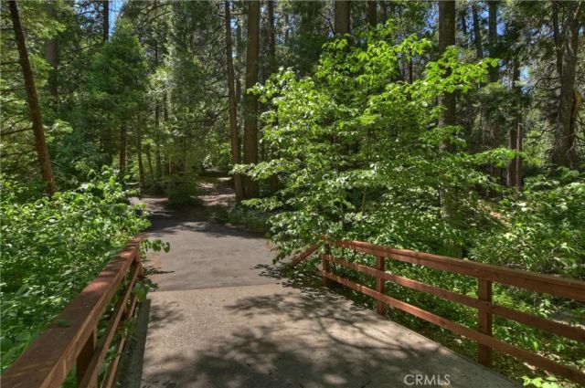 714 Blue Jay Canyon Road, Lake Arrowhead, CA 92317