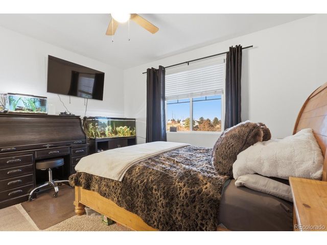 771 Bishop Pine Way, Castle Rock, CO 80104