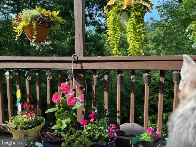 13082 PARK CRESCENT CIR, Herndon, VA 20171