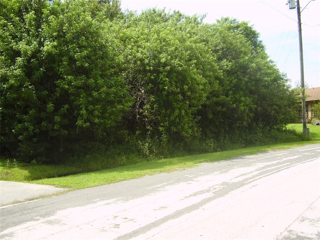321 CAEN COURT, Kissimmee, FL 34759