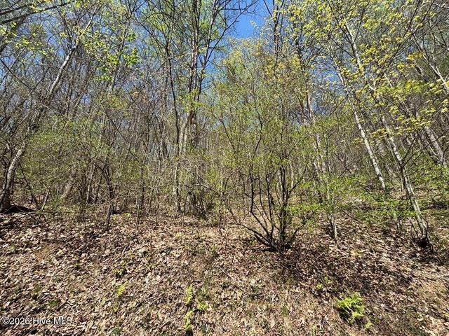 Lot 4 Outlook Road, Murphy, NC 28906