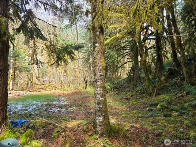 48918 Front Street, Granite Falls, WA 98252
