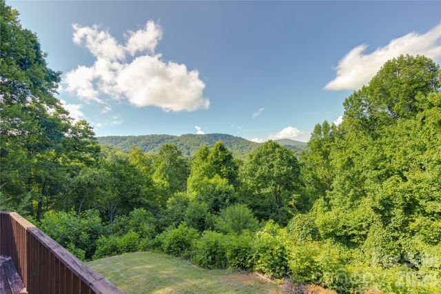 300 Buck Drive, Hot Springs, NC 28743
