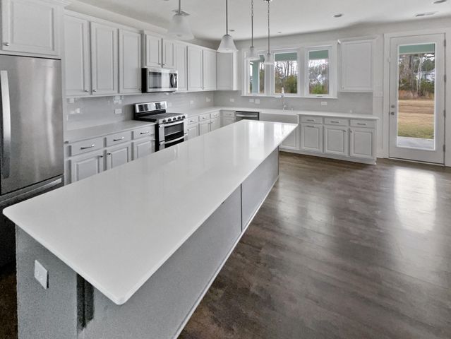 1016 Swamp Harrier Avenue, Ravenel, SC 29470