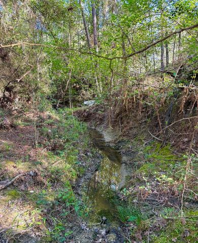 38 00 Fm 3454, Huntsville, TX 77320