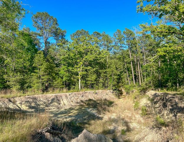 38 00 Fm 3454, Huntsville, TX 77320