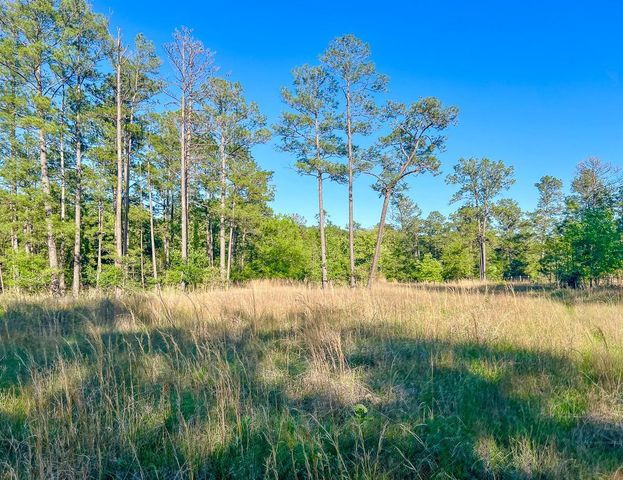 38 00 Fm 3454, Huntsville, TX 77320