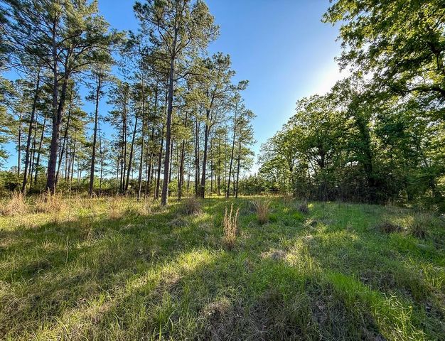 38 00 Fm 3454, Huntsville, TX 77320