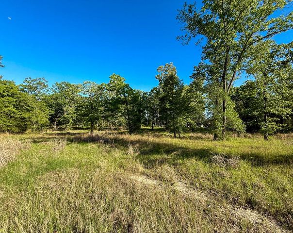 38 00 Fm 3454, Huntsville, TX 77320