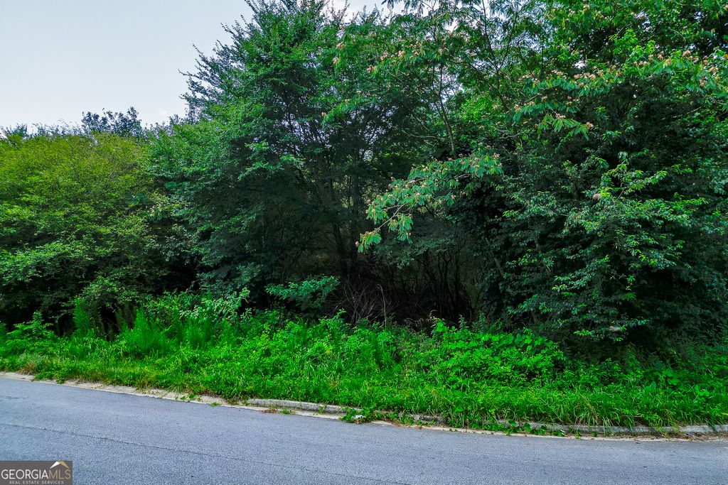 3895 Fieldgreen Court, Gainesville, GA 30507