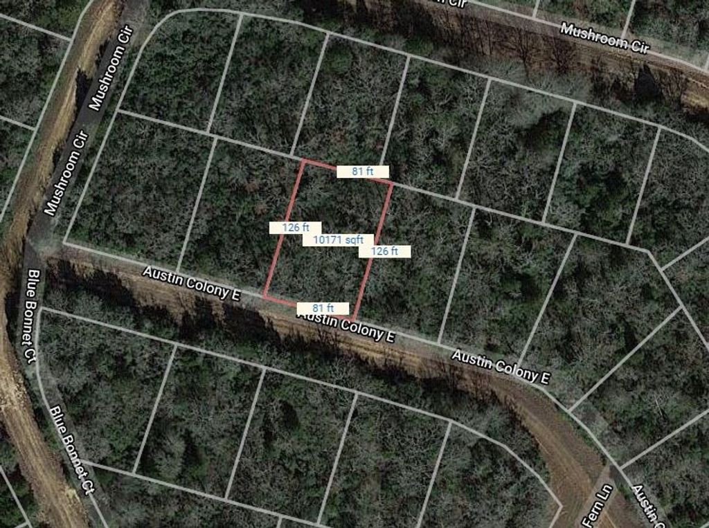 Lot 51 E Austin Colony, Normangee, TX 77871