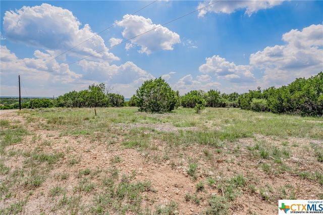 000 River Shoals Drive, Kempner, TX 76539