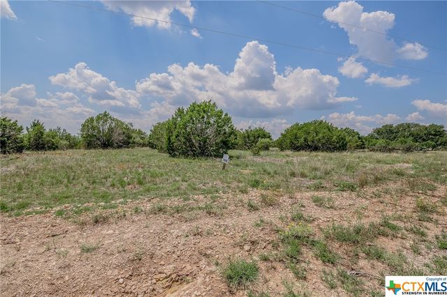 000 River Shoals Drive, Kempner, TX 76539