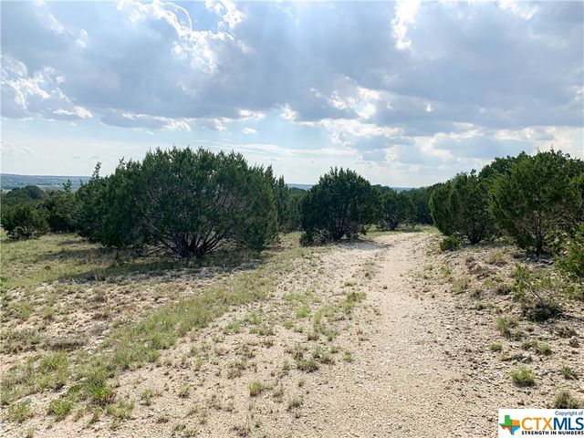 000 River Shoals Drive, Kempner, TX 76539