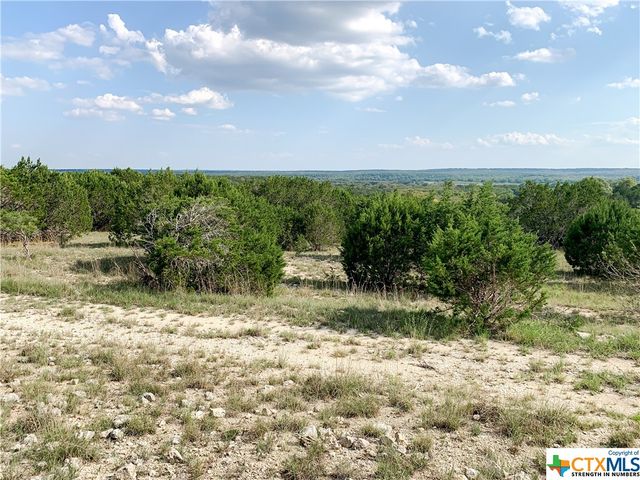 000 River Shoals Drive, Kempner, TX 76539