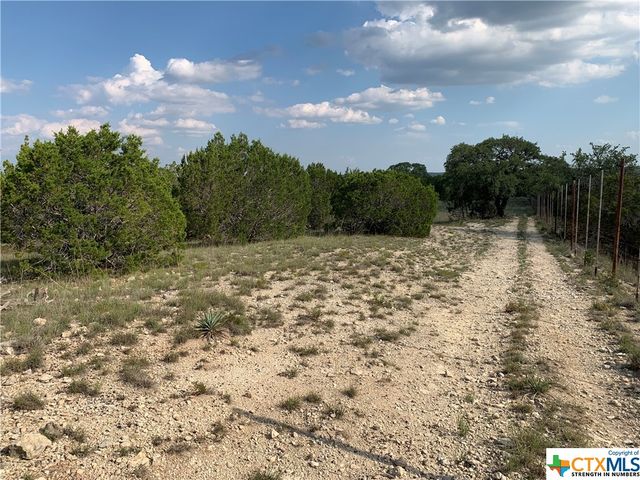 000 River Shoals Drive, Kempner, TX 76539