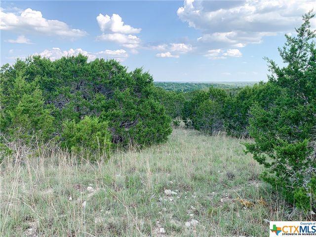 000 River Shoals Drive, Kempner, TX 76539