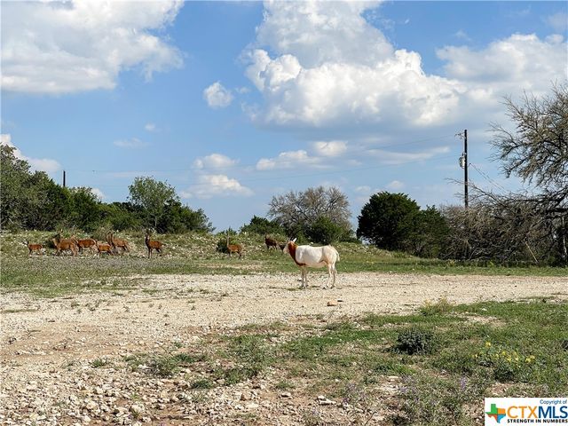 000 River Shoals Drive, Kempner, TX 76539