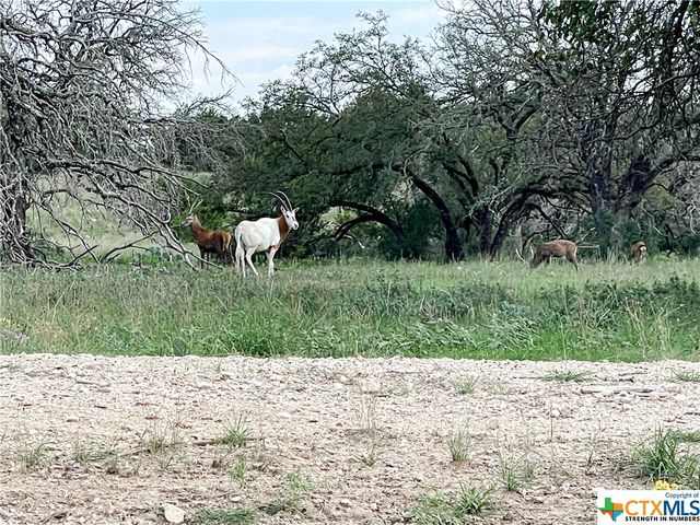 000 River Shoals Drive, Kempner, TX 76539