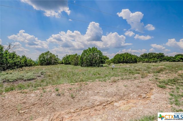 000 River Shoals Drive, Kempner, TX 76539
