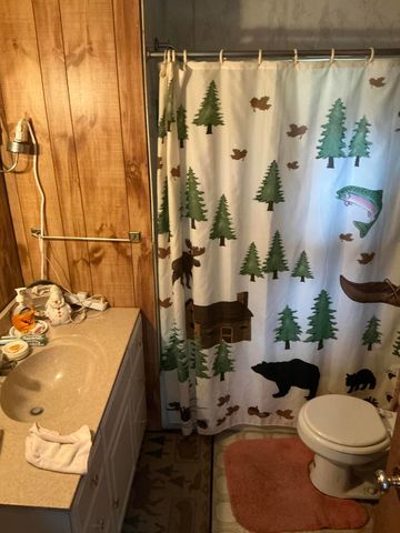 3358 S Stephan Bridge Road, Grayling, MI 49738