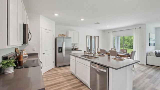 17619 ACORN DROP ROAD, Land O Lakes, FL 34638