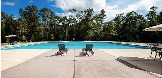 23509 Red Juniper Lane, New Caney, TX 77357