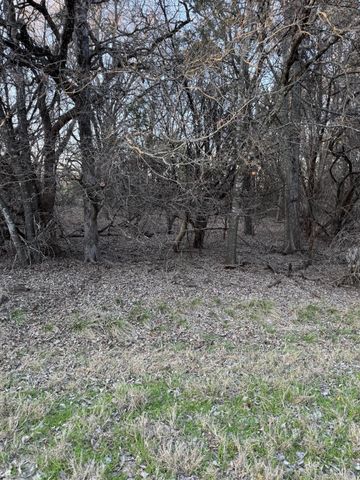 1455 Twin Oak Drive, Whitney, TX 76692