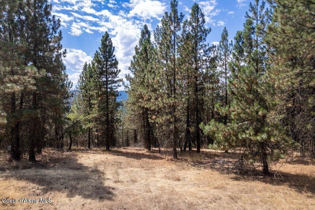 NKA Holiday Rd, Harrison, ID 83833 photo 16