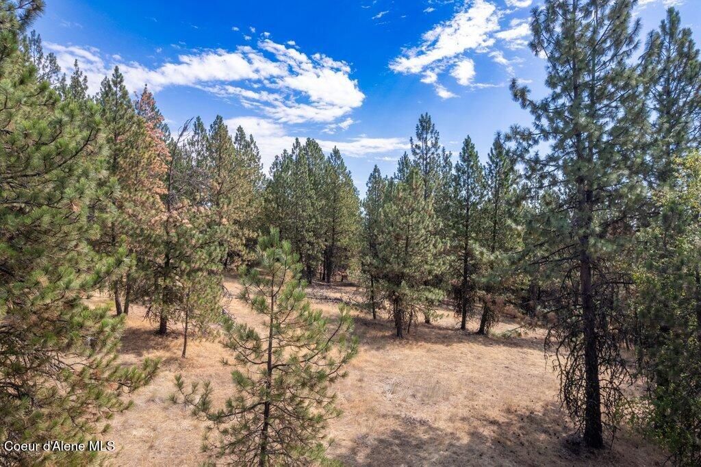 NKA Holiday Rd, Harrison, ID 83833 photo 21