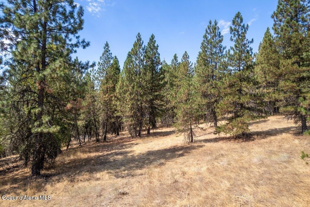 NKA Holiday Rd, Harrison, ID 83833 photo 22